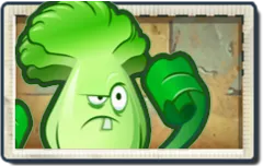 Bonk Choy