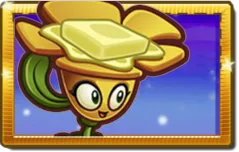 Buttercup