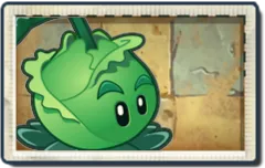 Cabbage-pult