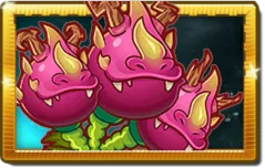 Dragon Bruit