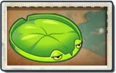 Lily Pad