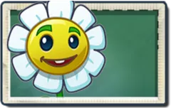 Marigold
