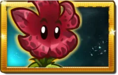 Meteor Flower