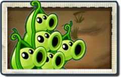 Pea Pod