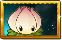 Power Lily