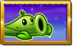 Pea Vine