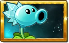 Snow Pea