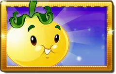 Solar Tomato
