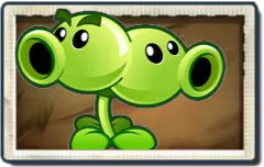 Split Pea