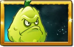 Squash