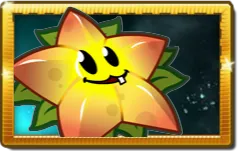 Starfruit
