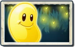 Sun Bean