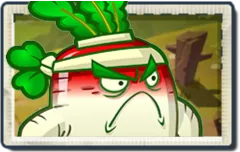 Resistant Radish