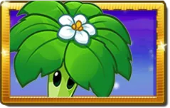 Umbrella Leaf