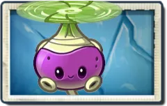 Rotobaga