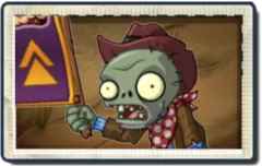 Cowboy Rally Zombie