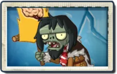 Cave Flag Zombie