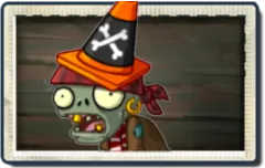 Conehead Pirate